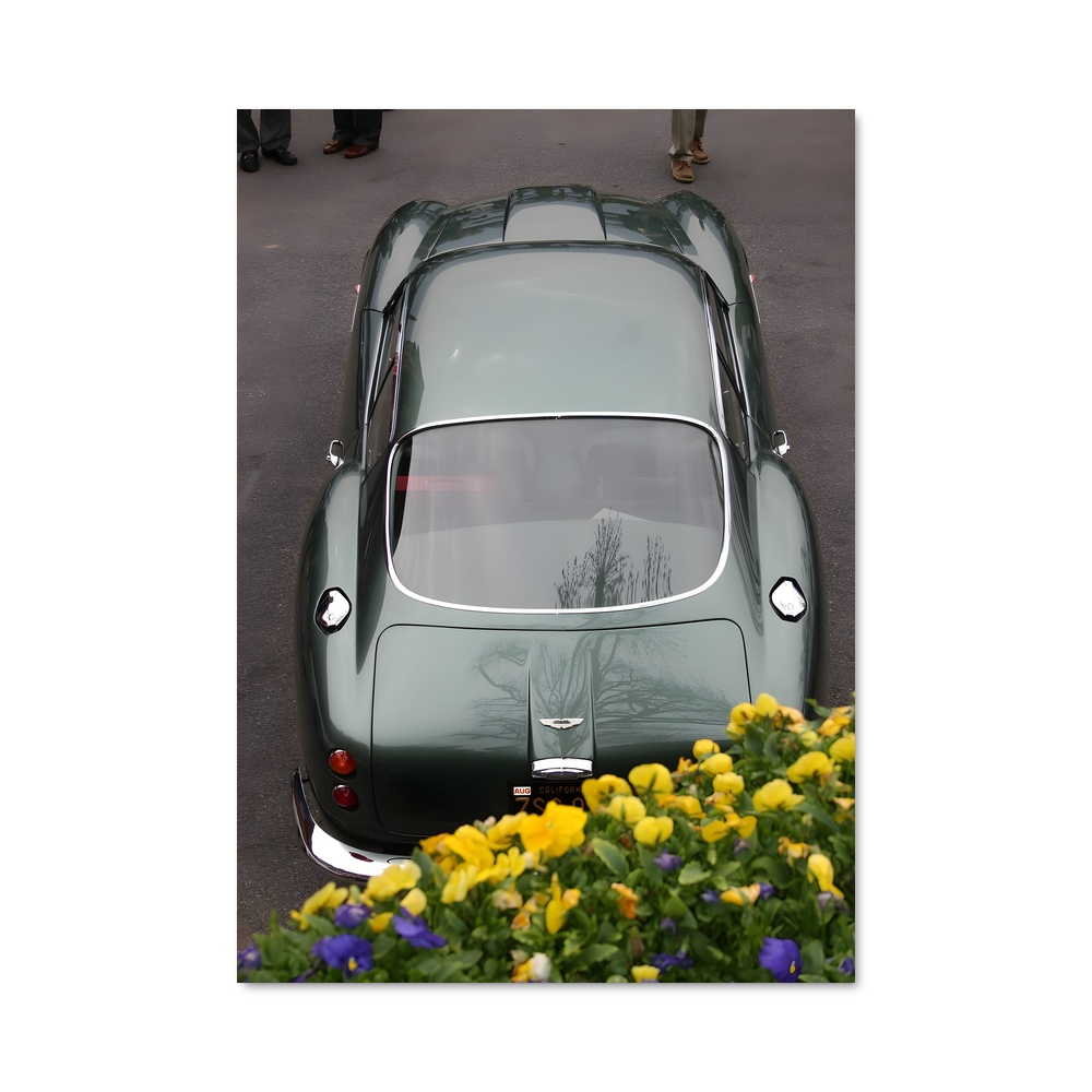 Poster zagato design